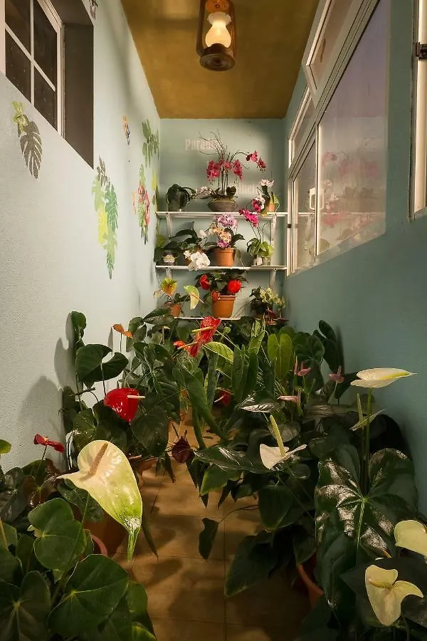 Paradise House Calheta Holiday home Calheta